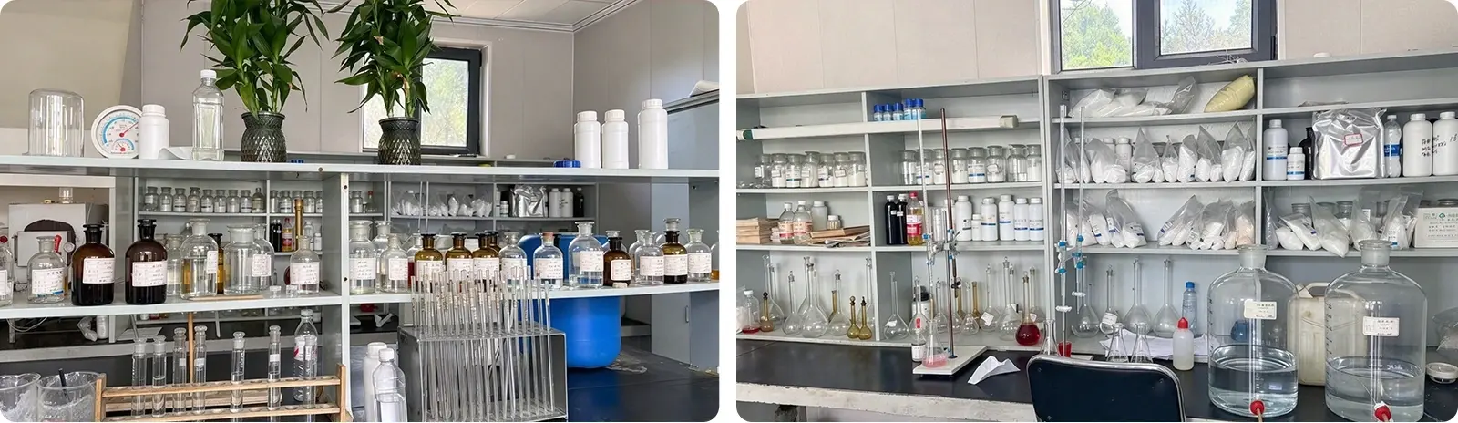 Our Laboratory.