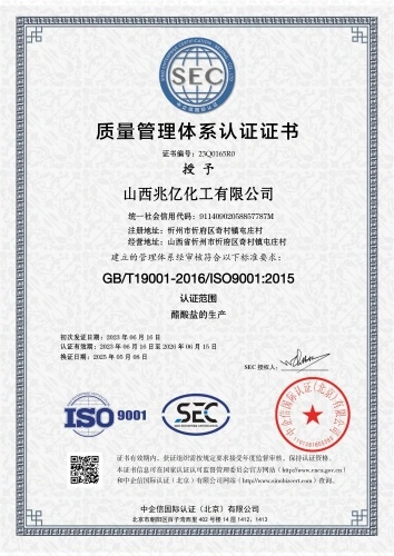 Certification Certificate